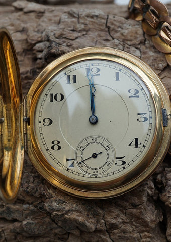 Aging Hallmarks Focus